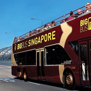 THE 5 BEST Singapore Hop-On Hop-Off Tours | Bus Tours | Tripadvisor