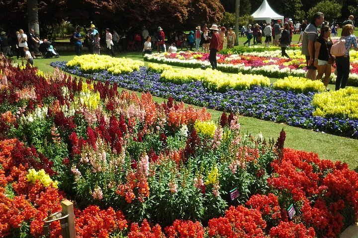 2024 (Toowoomba) Carnival Of Flowers Toowoomba   Tripadvisor