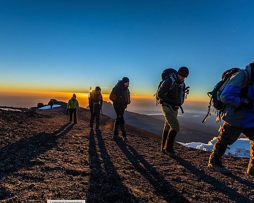 kilimanjaro safari experience