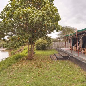 Asilia Ol Pejeta Bush Camp - Family tent exterior with view