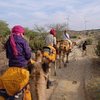 wild desert and camel safari