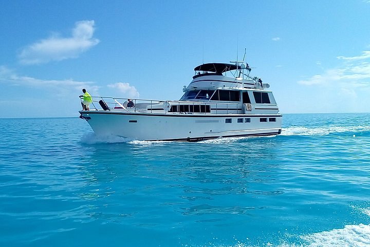 2023 65 Motor Yacht Snorkel Charter Provided By First Strike Charters 0206