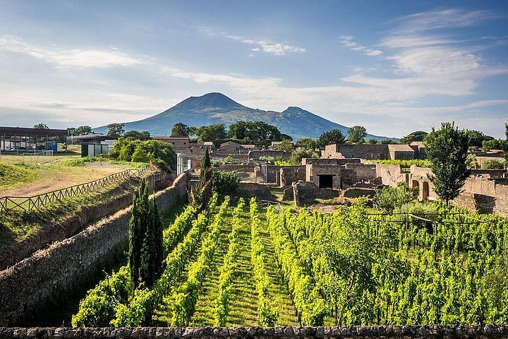 pompeii vesuvius winery tour