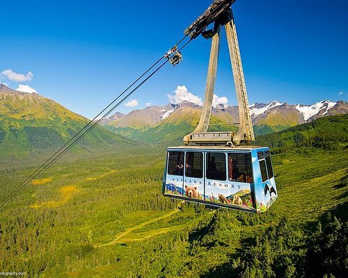 AS 10 MELHORES atividades divertidas e jogos no Alaska - Tripadvisor