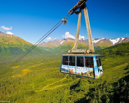 AS 10 MELHORES atividades divertidas e jogos no Alaska - Tripadvisor