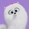 Gidget