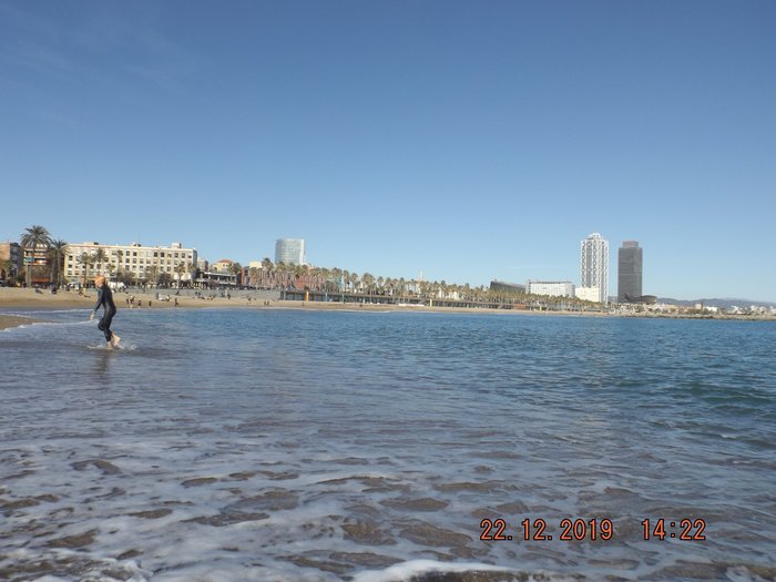 Imagen 14 de Barcelona Beach