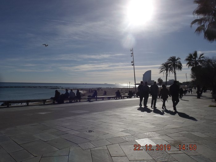 Imagen 12 de Barcelona Beach