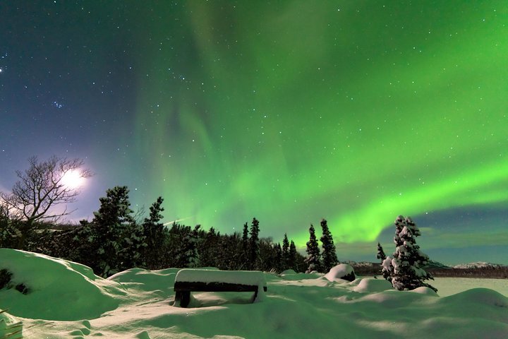 2024 Arctic Circle and Northern Lights Tour from Fairbanks