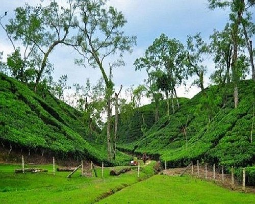 bangladesh tour package from delhi