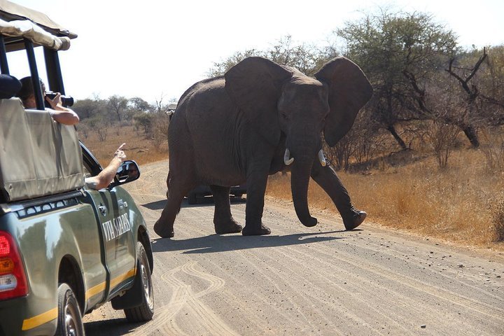 2024 7 Day Classic Kruger National Park Safari