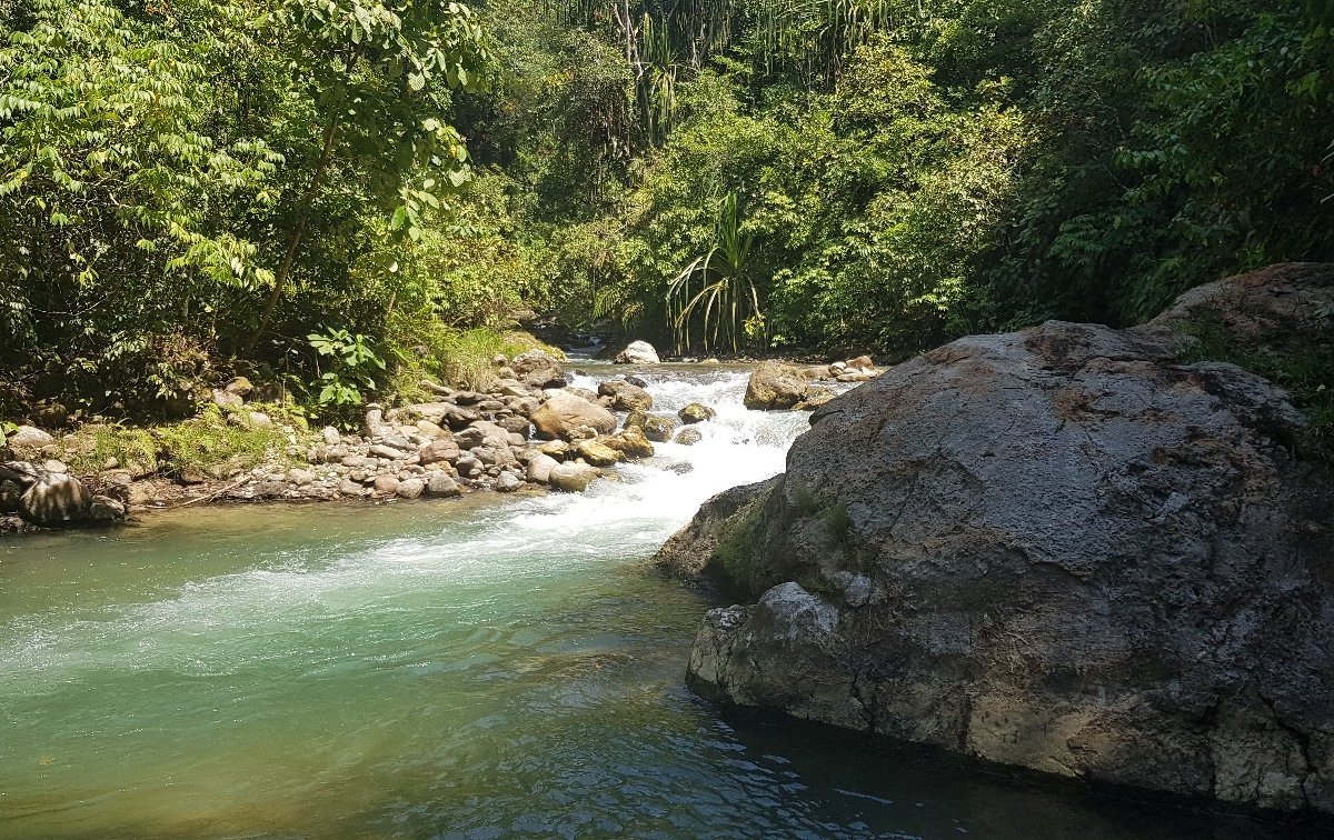 KETAMBE JUNGLE TREKKING & DAY TOURS - All You Need to Know BEFORE You Go