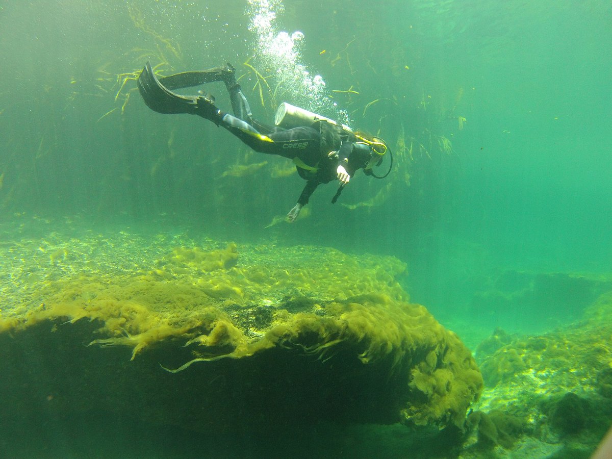 koox diving playa del carmen