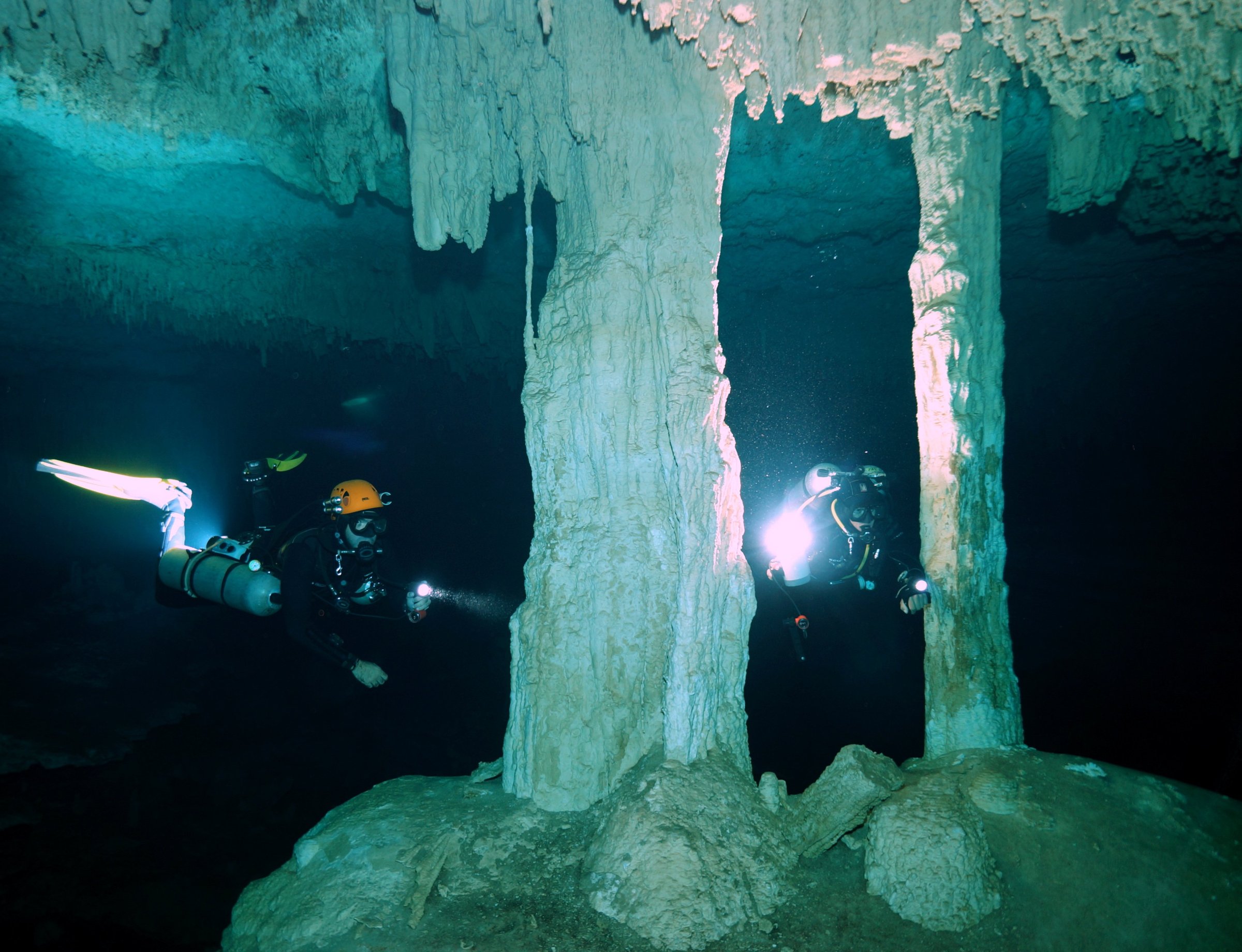 koox diving playa del carmen