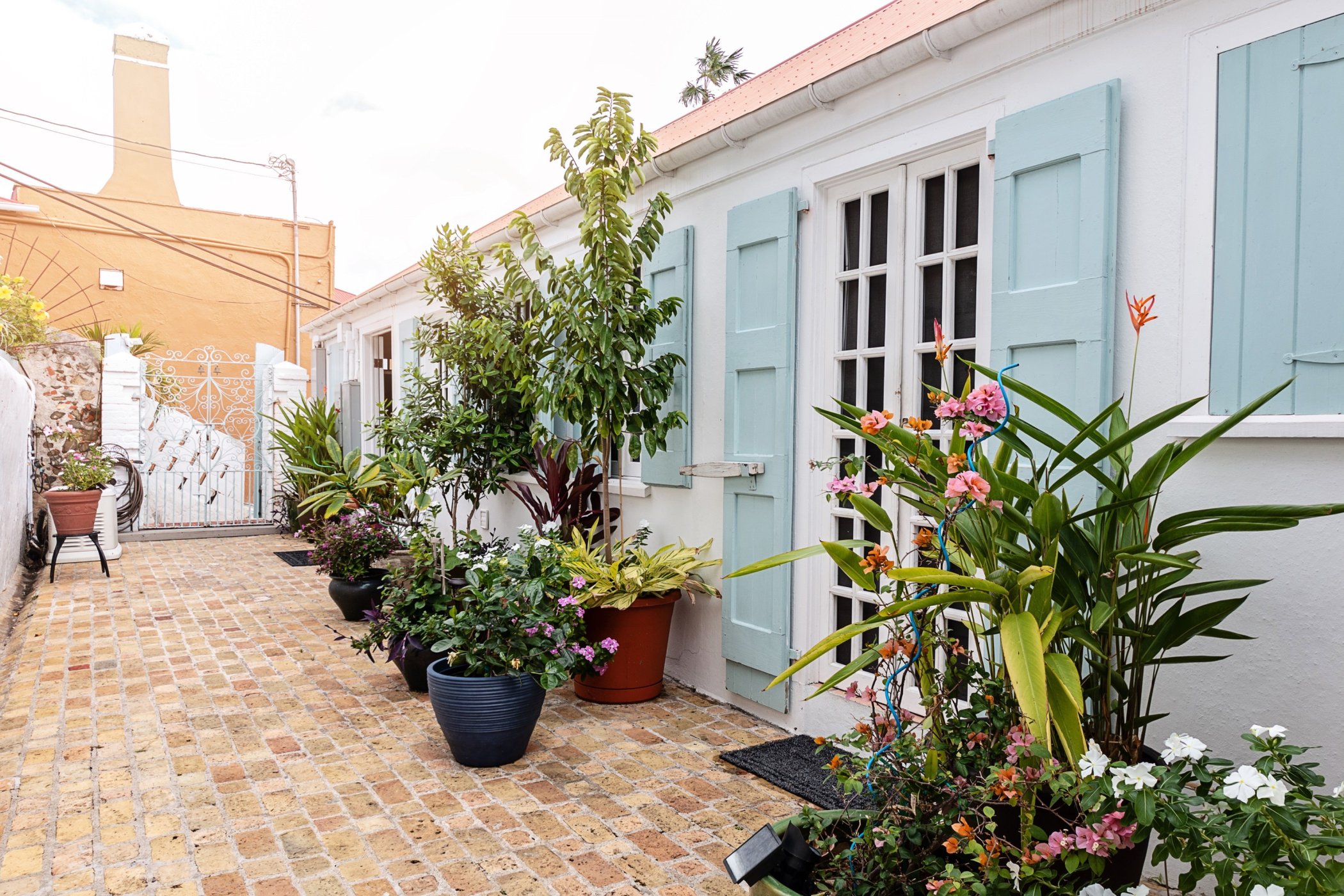 At Home in The Tropics Inn by null
