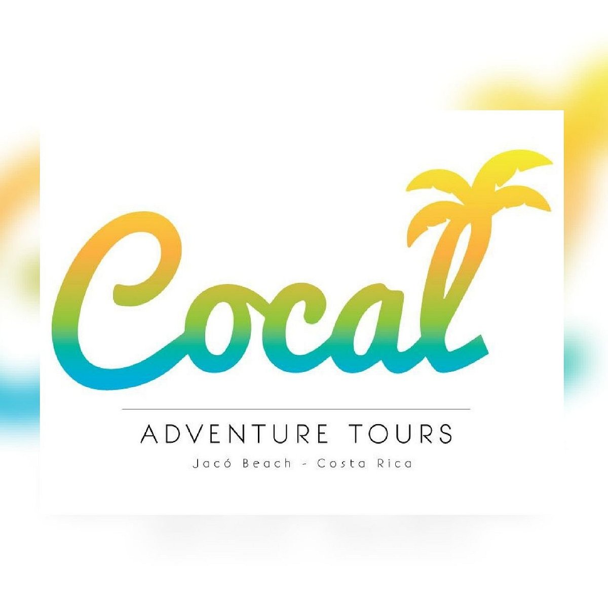 Cocal Adventure Tours - All You Need to Know BEFORE You Go (2024)