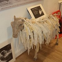 Indoor sheep. Someone has been very creative!