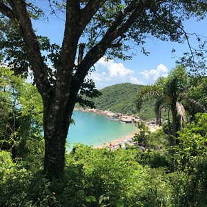 Mirante e Trilha do Morro do Macaco em Bombinhas: Conheça e se encante -  Morada Baden Baden