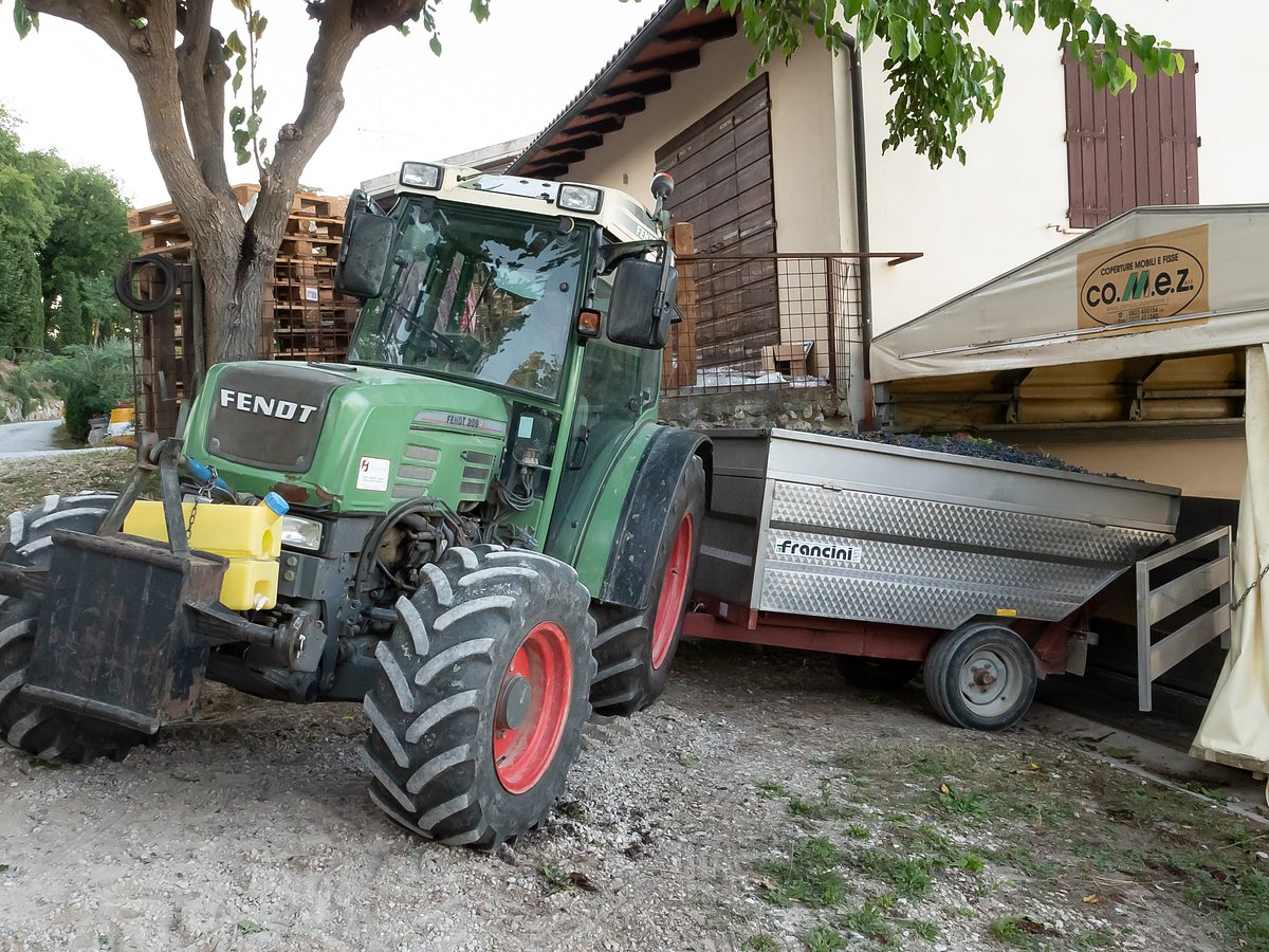 FENDT: Water bottle with swing stopper (Fendt Natural Line Collection)