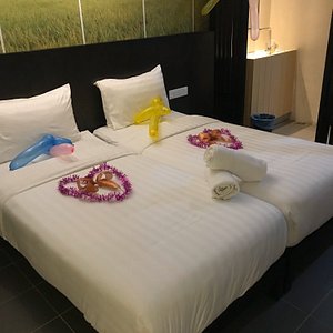 agro tourism homestay sg sireh reviews