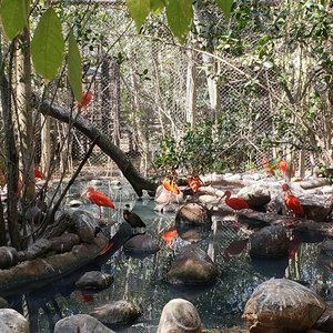 O Moinho De Vento Quebrado Velho Serve Agora Como a Exploração Agrícola Do  Rancho Do Aviário Imagem de Stock - Imagem de alternativa, terra: 36649937