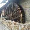 Contilia