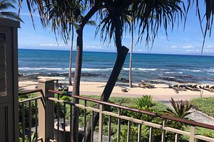 My 11 year old daughter in the pool. Yeah she loved every minute of it. -  Picture of Four Seasons Resort Hualalai, Island of Hawaii - Tripadvisor