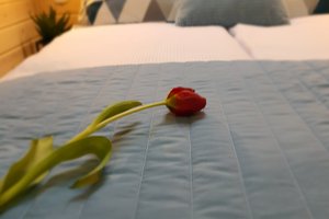 Room & Suite