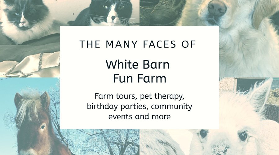 Friendly farm animals