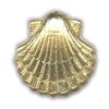 Dicolebe