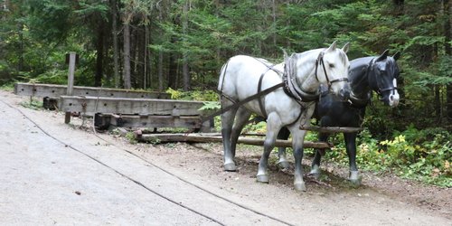 Algonquin Provincial Park review images