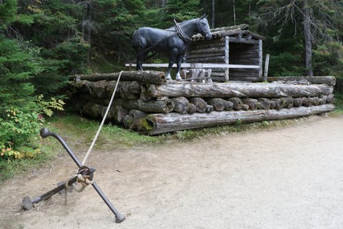 Algonquin Provincial Park review images