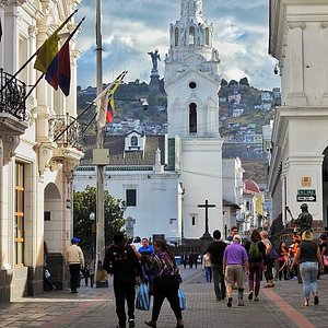 Hollywood Pants en Quito