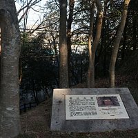 森の向こうを東海道新幹線が疾走する。