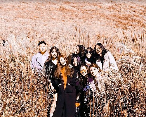 seoul family tour packages