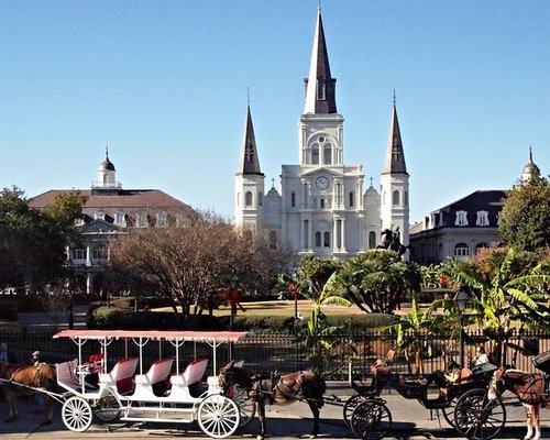 THE 10 BEST New Orleans Private Tours (Updated 2024) - Tripadvisor