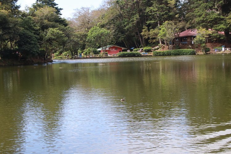 Laguna de Fraijanes Recreational Park image