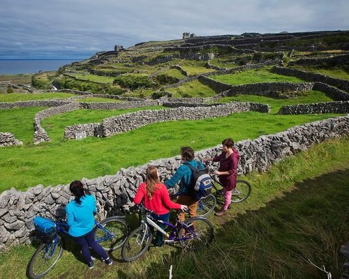 アイルランド エニス 自転車を借りる