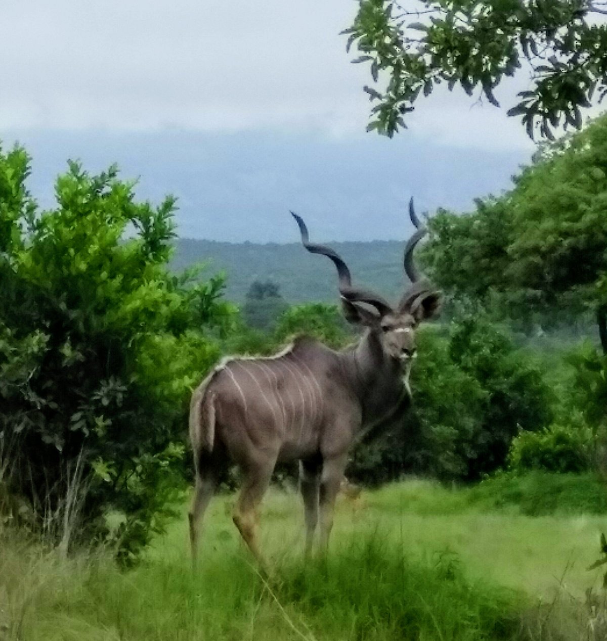 MDONYA OLD RIVER CAMP - Updated 2024 Campground Reviews (Ruaha National ...