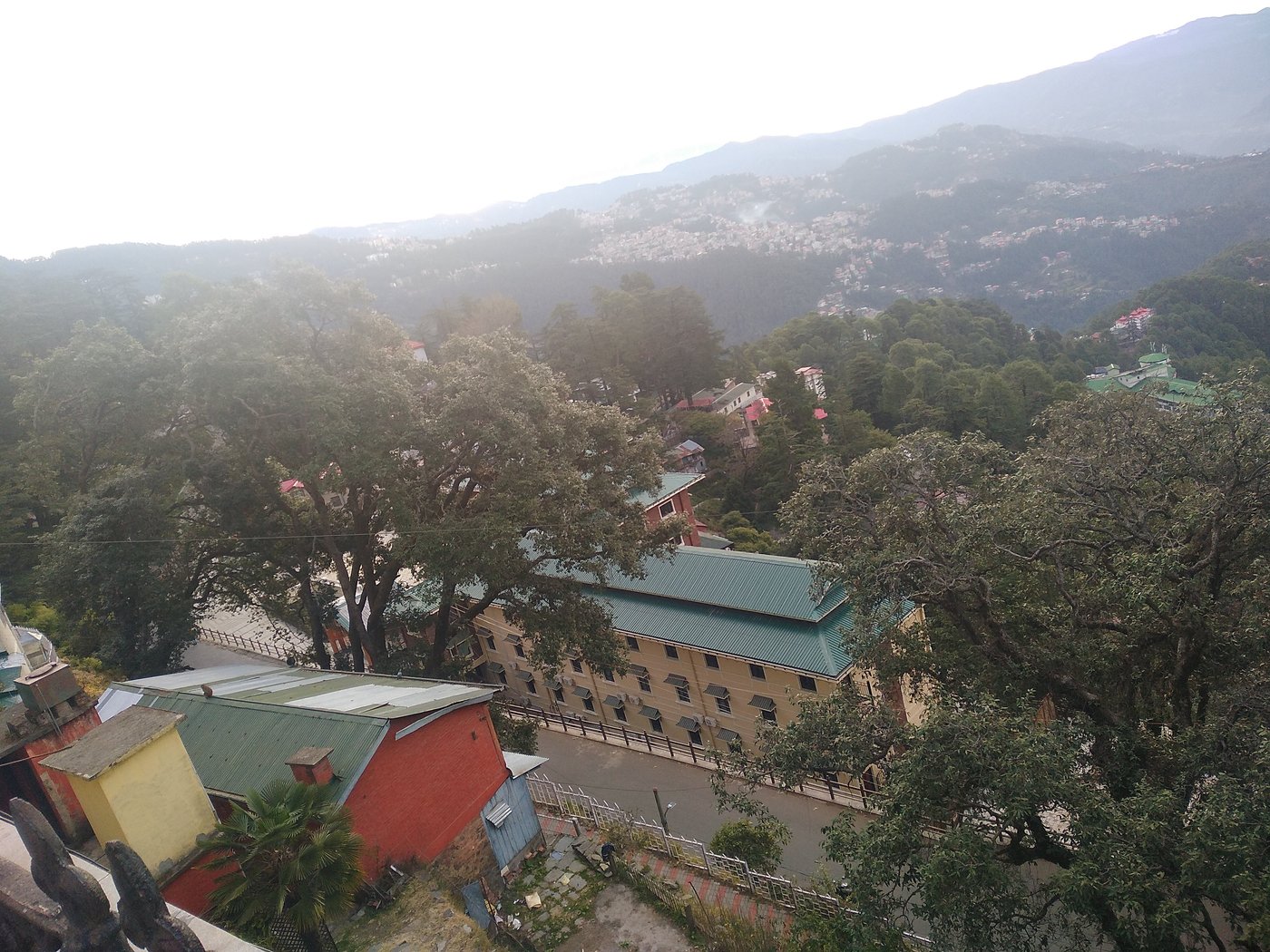 hotel peterhoff shimla