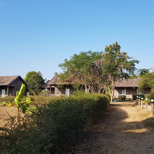정원 산책로