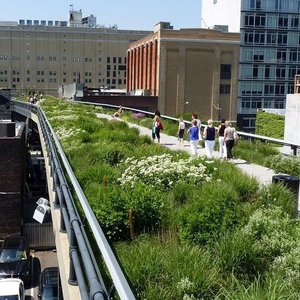 The High Line – Park Review