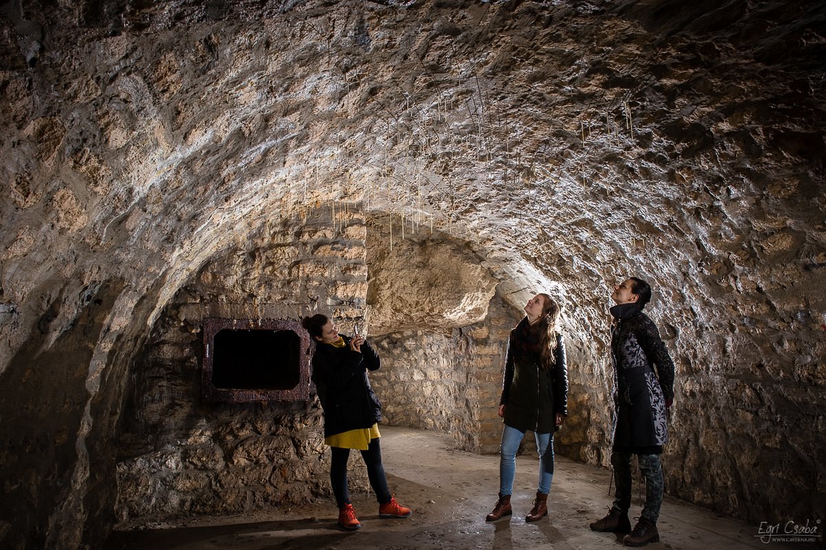 Labyrinth under the Buda Castle Hill - Budapest Cave Tour - Buda Castle