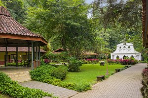 Villa Lapas Jungle Village in Tarcoles, image may contain: Hotel, Resort, Garden, Grass