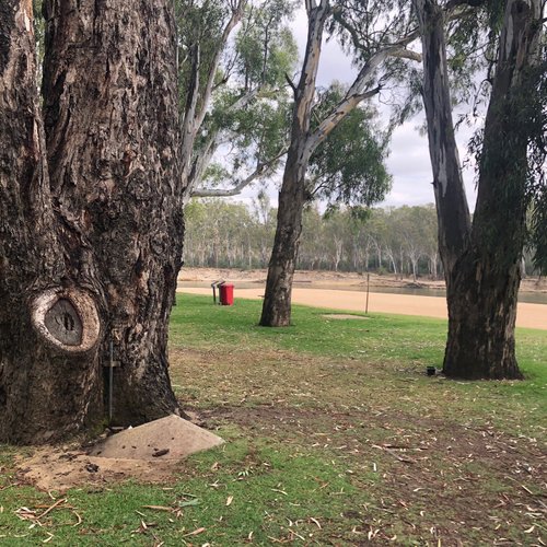 The 7 Best Things to do in Cobram, Victoria