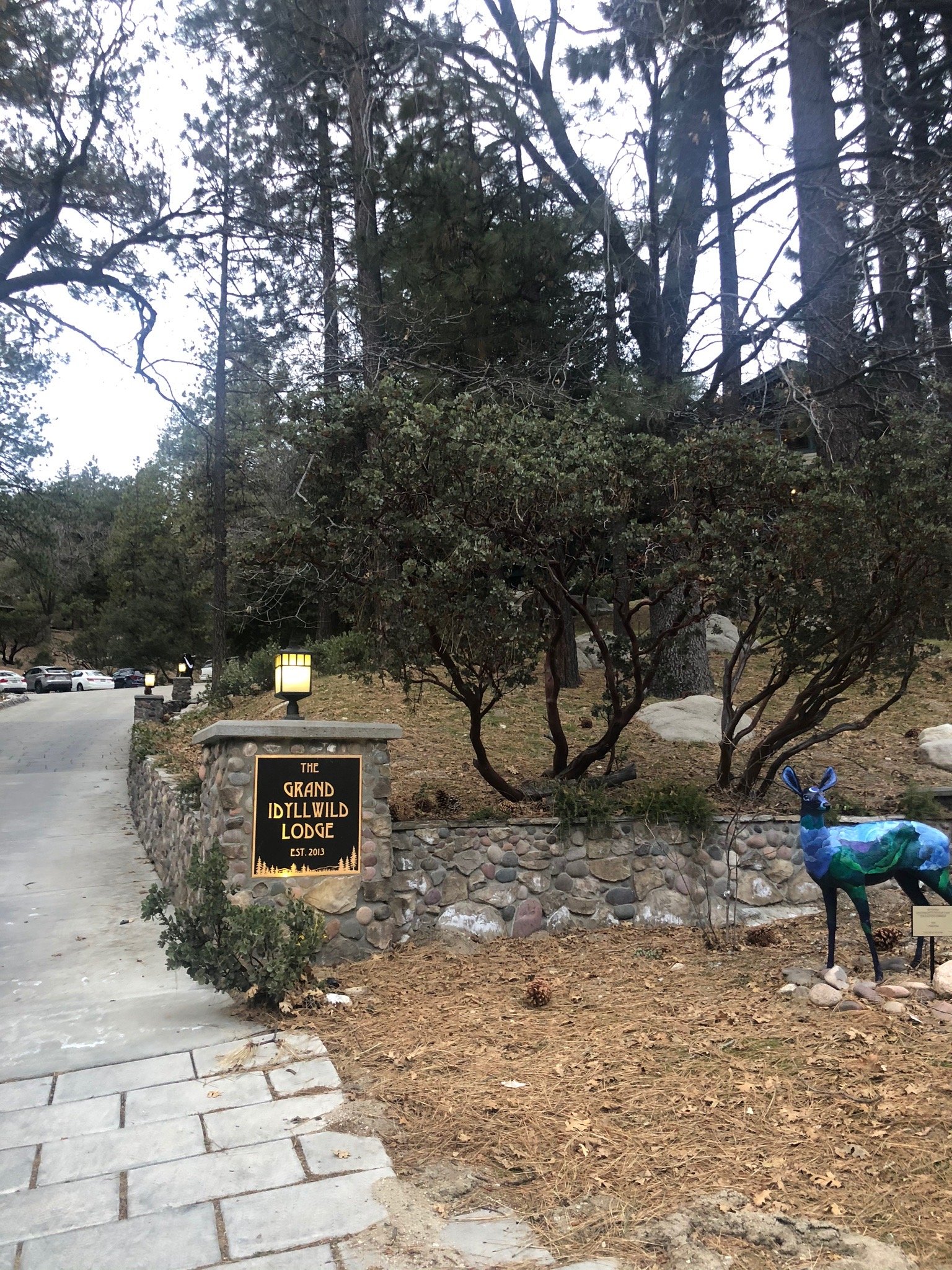 THE GRAND IDYLLWILD LODGE - Updated 2024 Prices & B&B Reviews (CA)