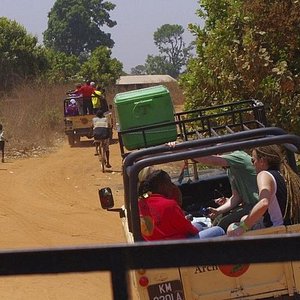 Gambia Local Tours image