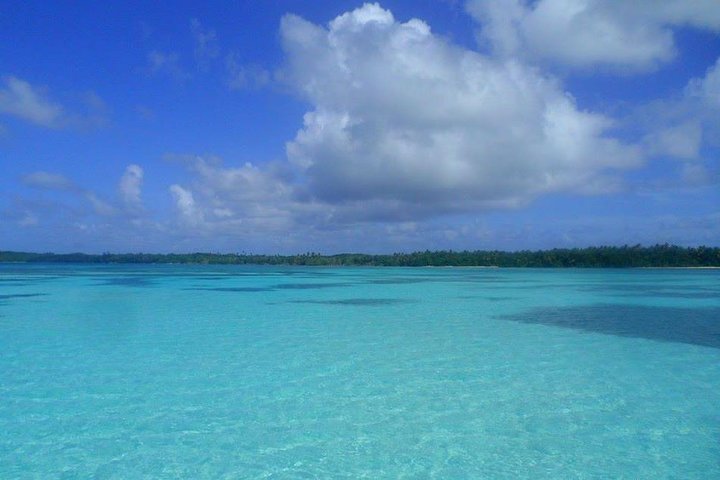 2024 Glass Bottom Boat Tour: Buccoo Reef, Nylon Pool and Beach BBQ