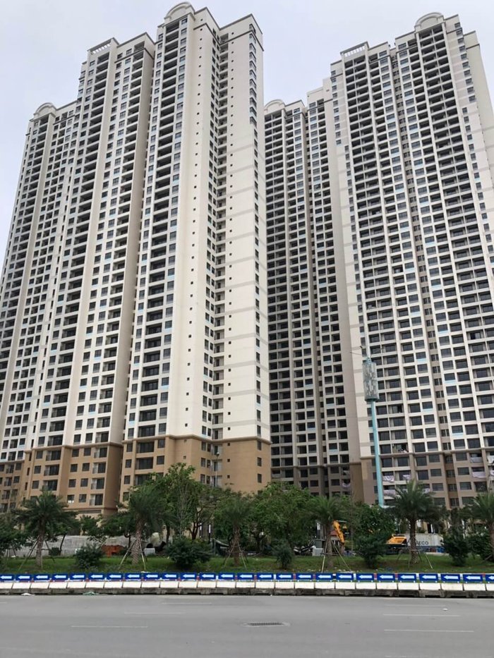 M Golf - Cẩm Nang Toàn Diện về Môn Thể Thao Quý Tộc
