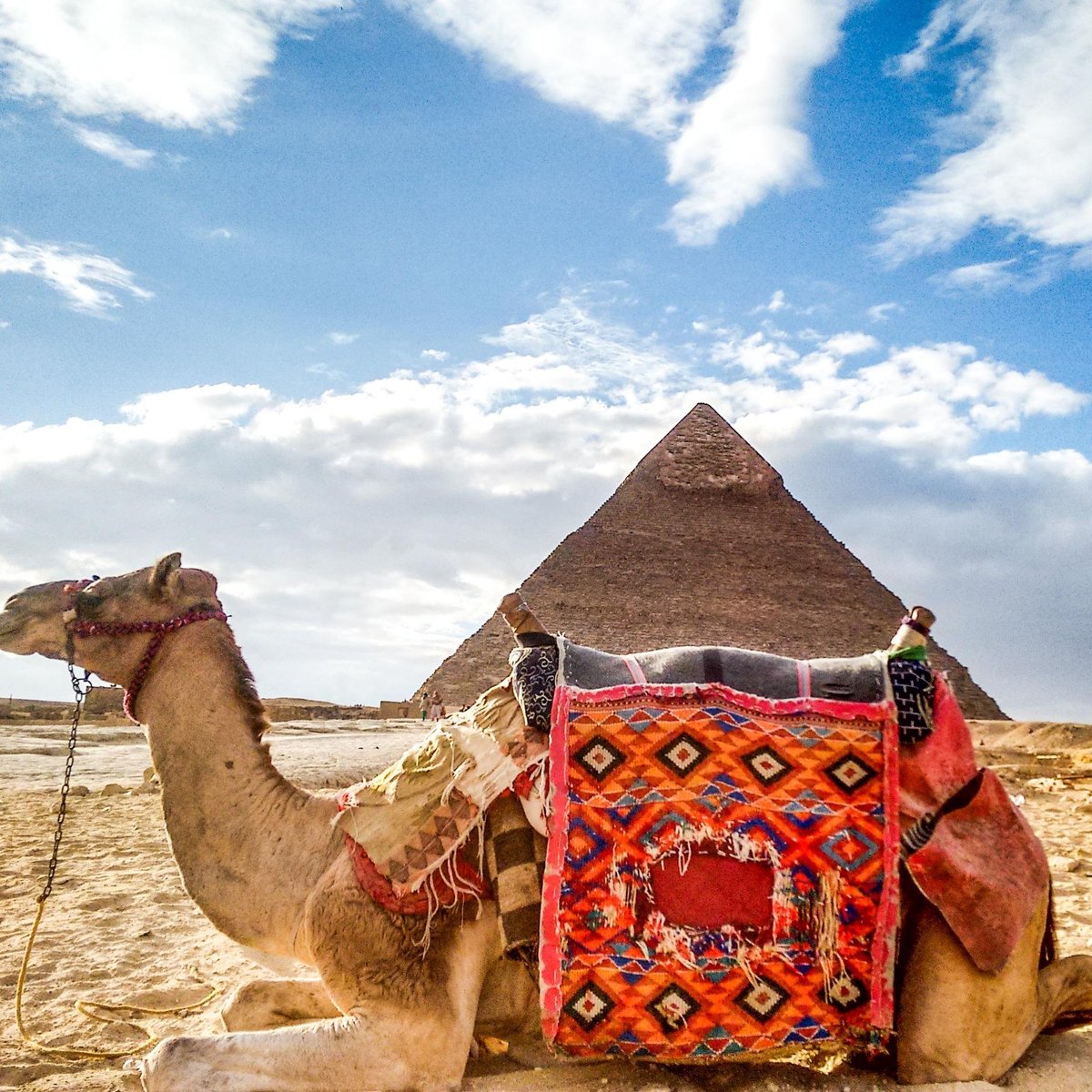 Booking-tours (Cairo, Egypt): Hours, Address, - Tripadvisor